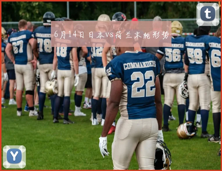 6月14日日本vs荷兰末轮形势
