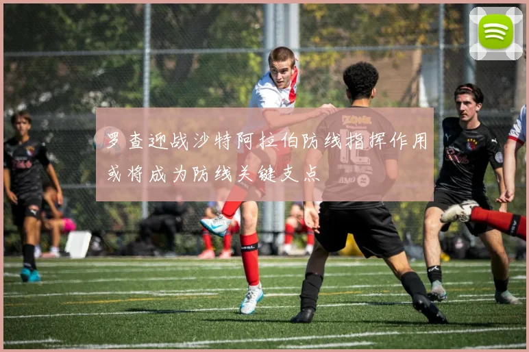 罗查迎战沙特阿拉伯防线指挥作用或将成为防线关键支点