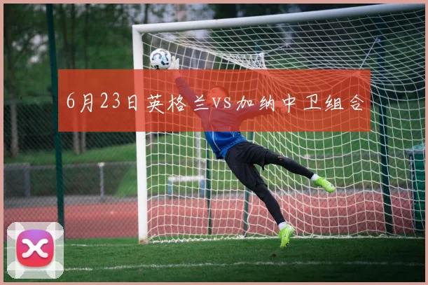 6月23日英格兰vs加纳中卫组合