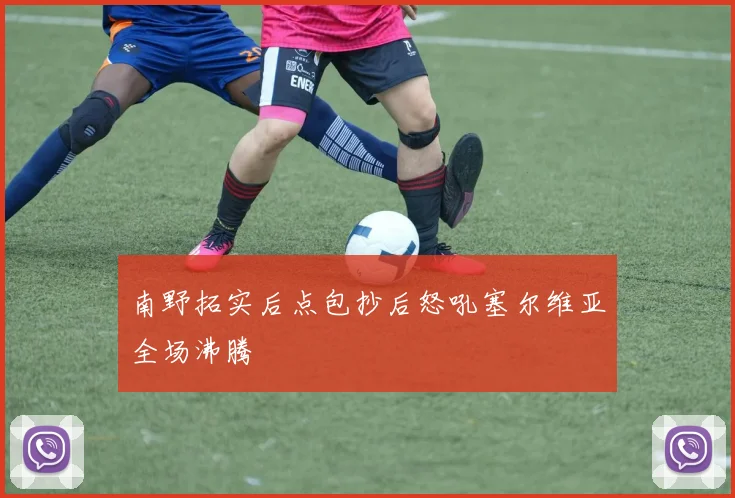 南野拓实后点包抄后怒吼塞尔维亚全场沸腾