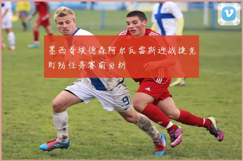 墨西哥埃德森阿尔瓦雷斯迎战捷克盯防任务赛前分析