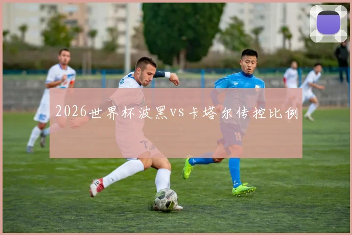 2026世界杯波黑vs卡塔尔传控比例